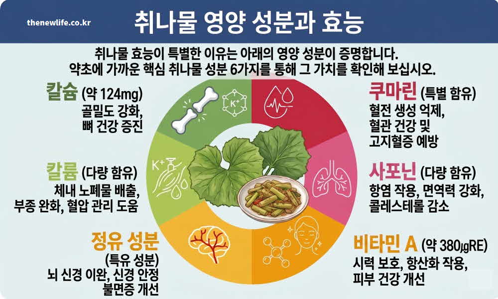 취나물 효능 영양성분