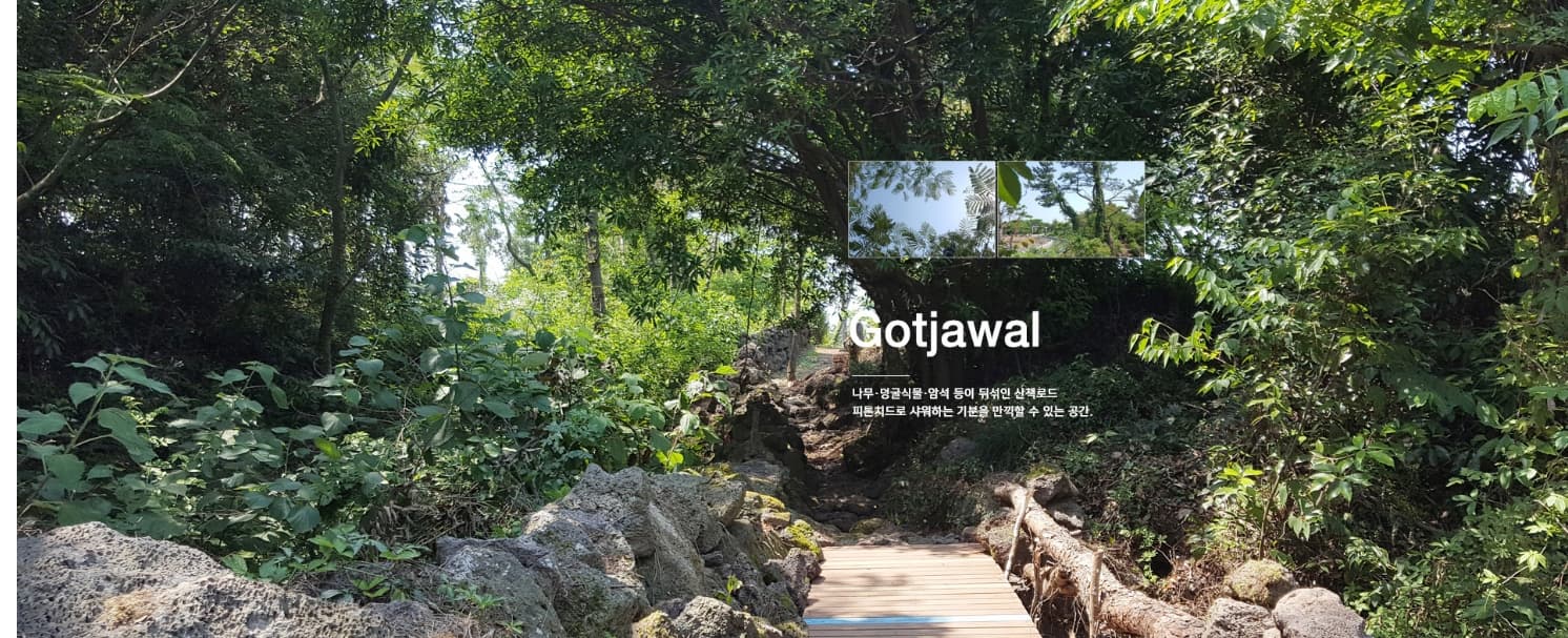 [5월 ~ 7월]제주 힐링파크 비체올린 이용가이드, 능소화 축제