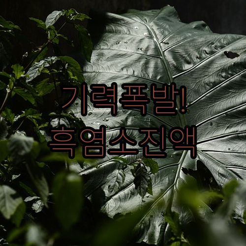 기력 회복에 좋은 흑염소진액 이경제 ..