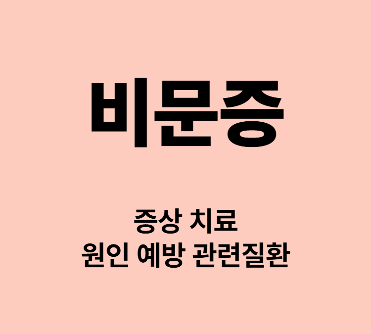 망막질환 광시증 노화현상 날파리증 시야장애 비문증 증상