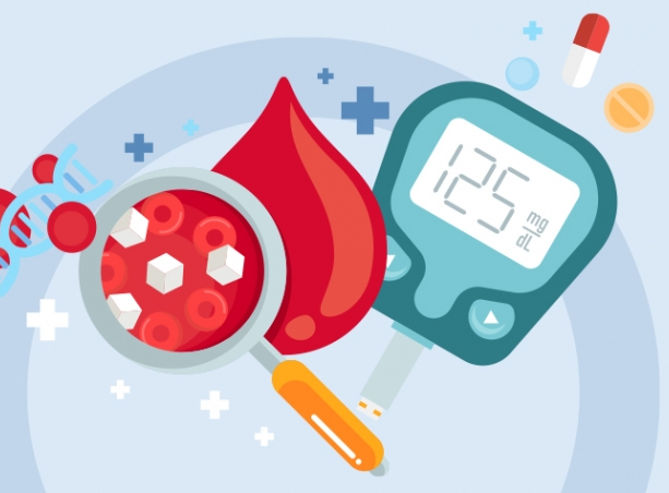 혈당스파이크 체중관리 다이어트 대사증후군 인슐린저항성 당뇨예방 연속혈당측정 거꾸로식사법 식후운동 건강한식습관