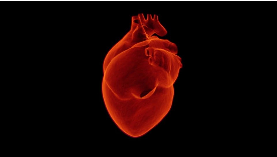 심근경색(Myocardial Infarction), 심장이 보내는 치명적 신호