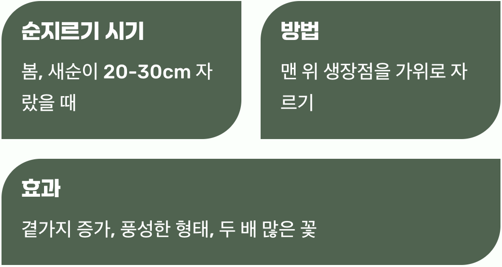 풍성함을 위한 용감한 가위질