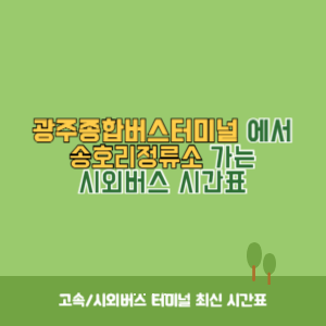 광주종합버스터미널에서 송호리정류소 가는 시외버스 시간표 최신정보