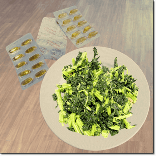 미토콘드리아 기능 및 영양제 도움이 되는 요소