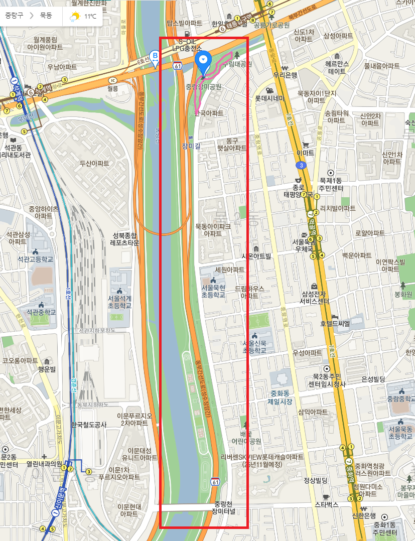 2023.서울 중랑구 장미축제.일정.주차.추천코스.맛집.2023안내.총정리