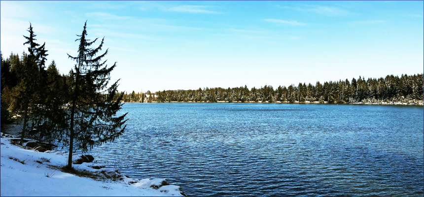 갑자일주 X 신미일주 궁합