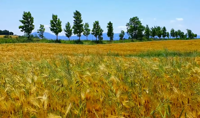 국내 봄 여행지