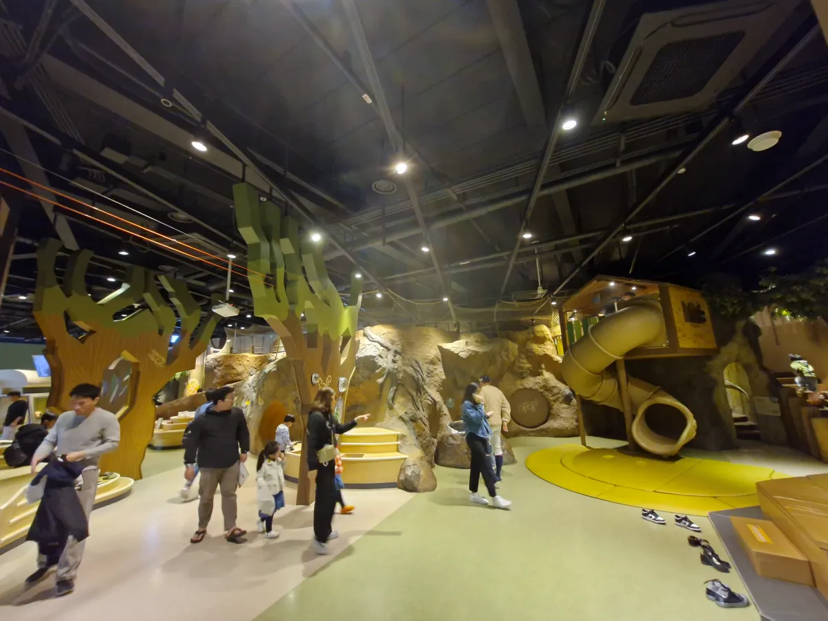 2층-깊은숲나무-테마의-실내-대형-키즈카페의-모습