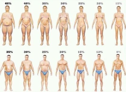 여자 체지방률에 따른 몸매