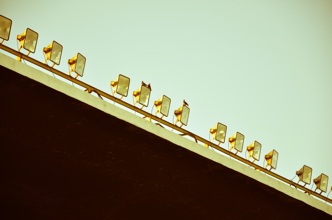 Lineup