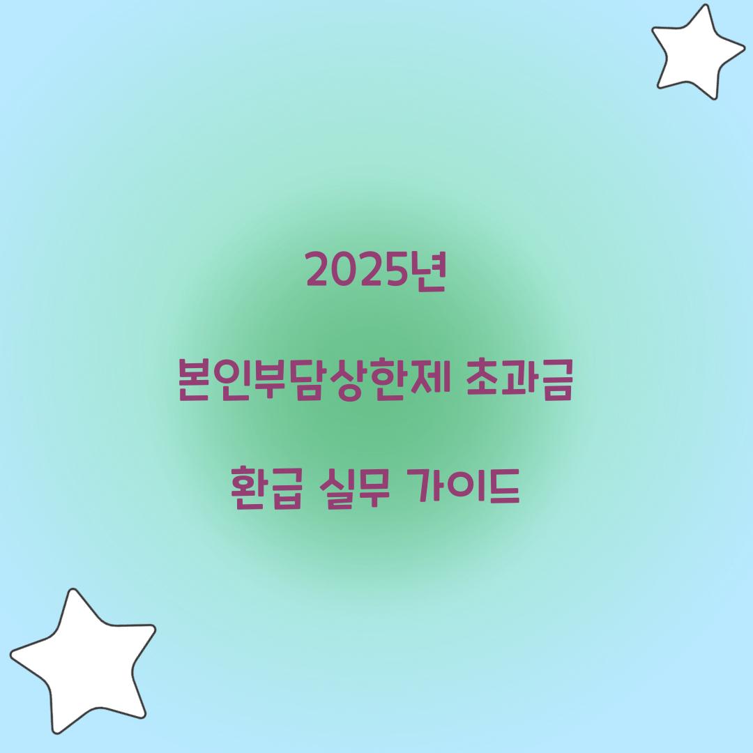 2025년 본인부담상한제 초과금 환급