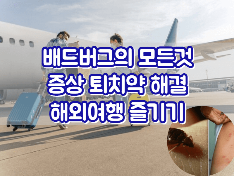 배드버그 증상 스프레이 퇴치약으로 해외여행 완벽하게 즐기기