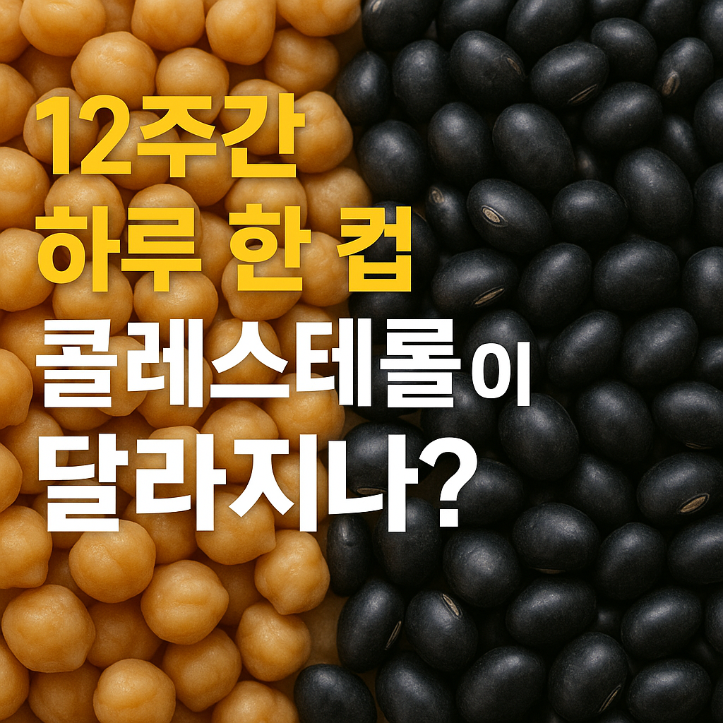 병아리콩과 검은콩