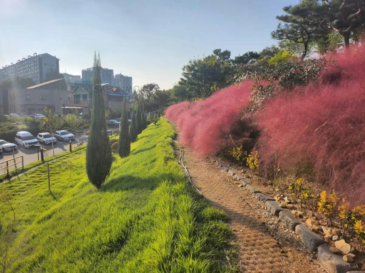 카페-온-더-힐-정원