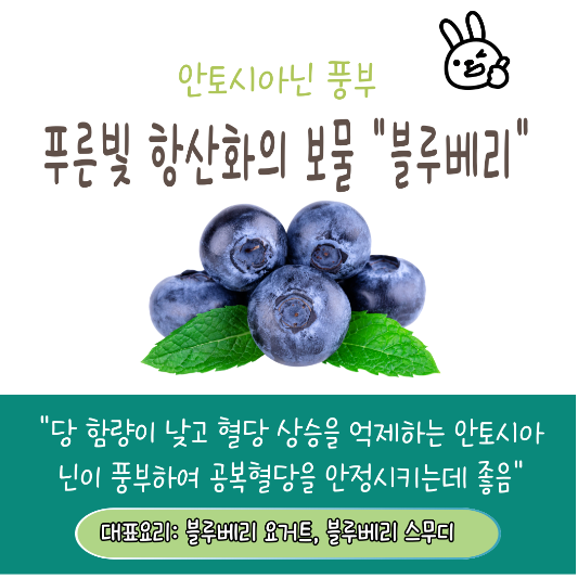 공복혈당장애 관리에 좋은 음식 블루베리