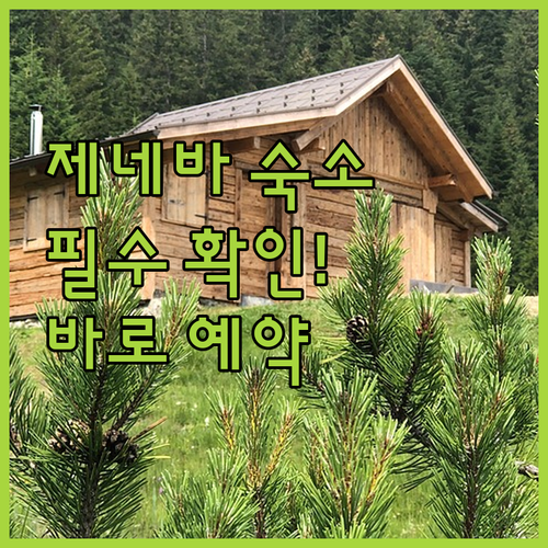 제네바 여행 숙소 선택 가이드 체크인..