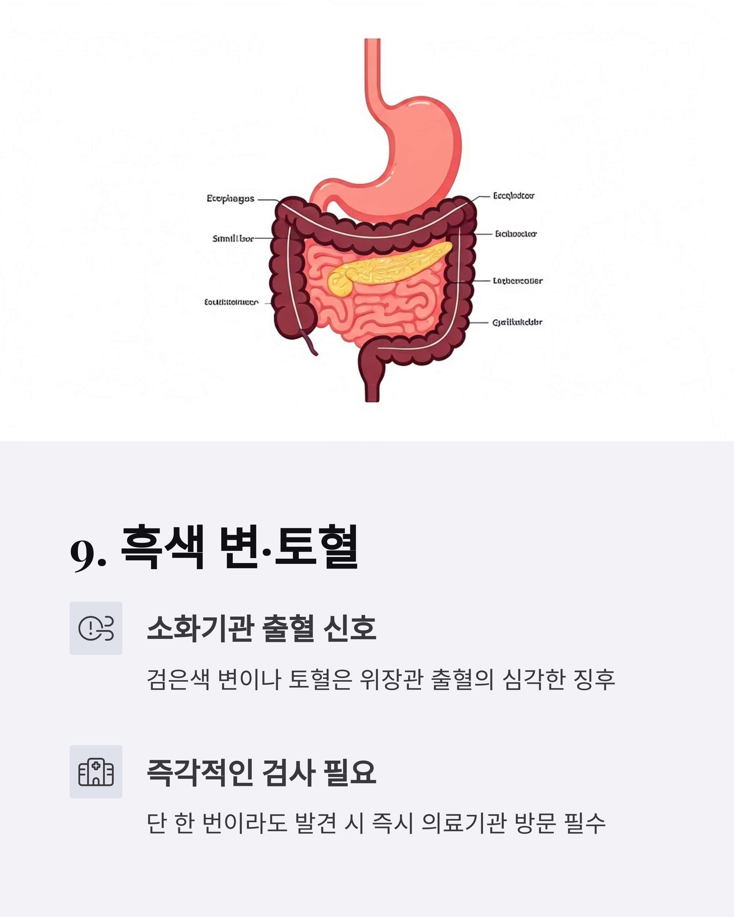 위암 초기증상 흑색 변 토혈