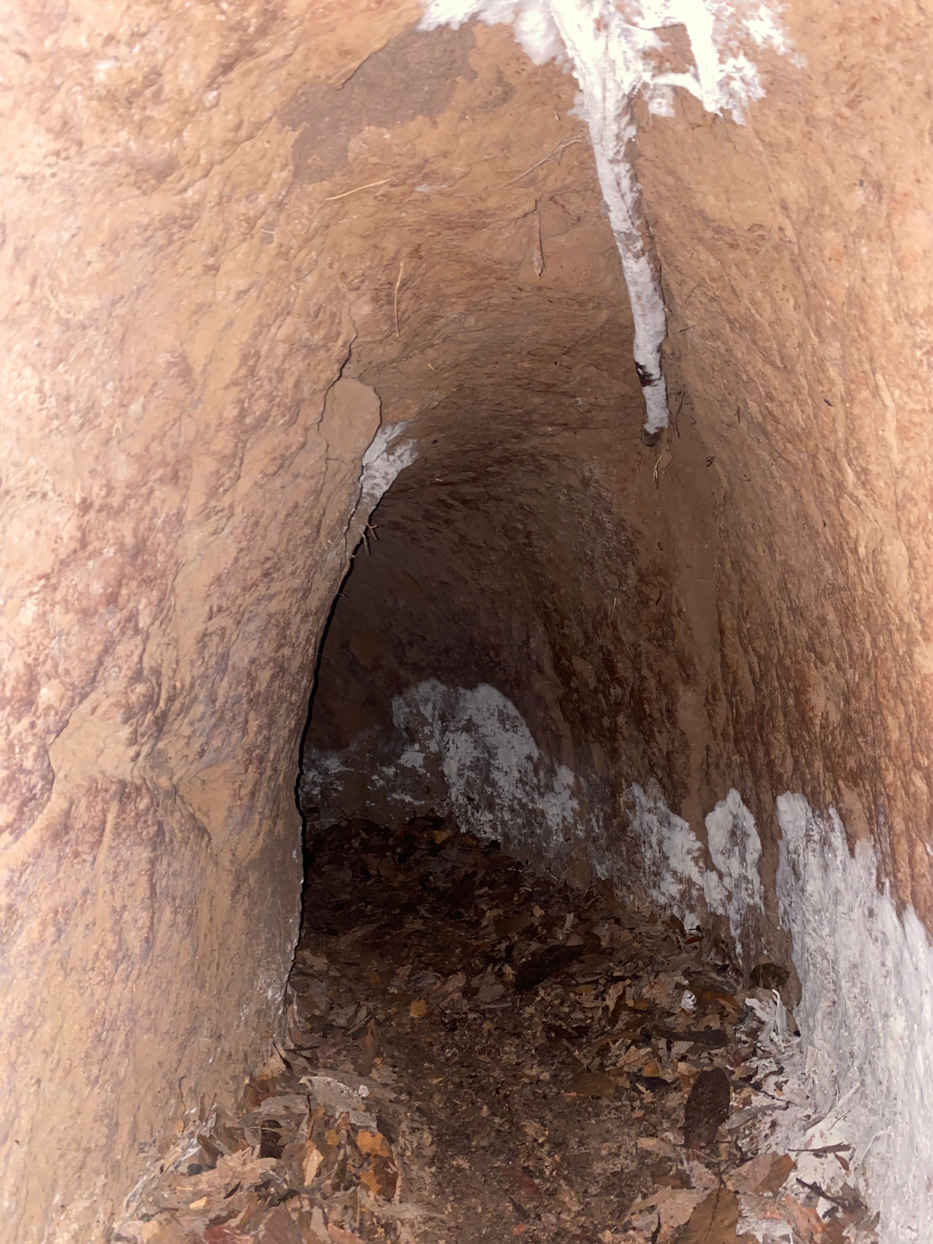 구찌 터널 내부