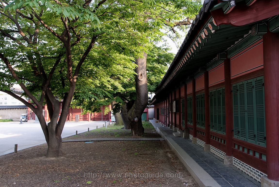 창덕궁 Changdeokgung Palace