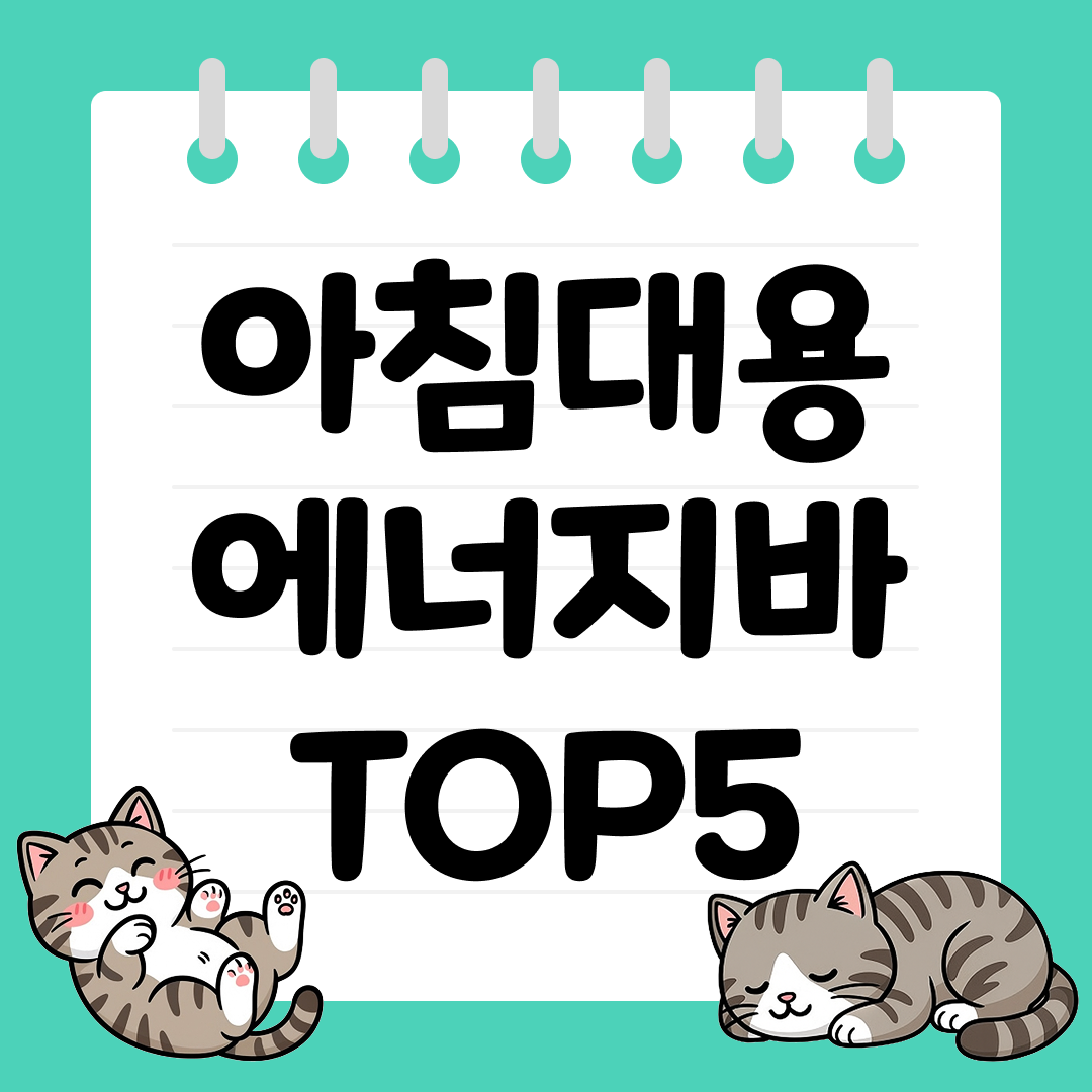 아침대용 에너지바 추천 순위 TOP5