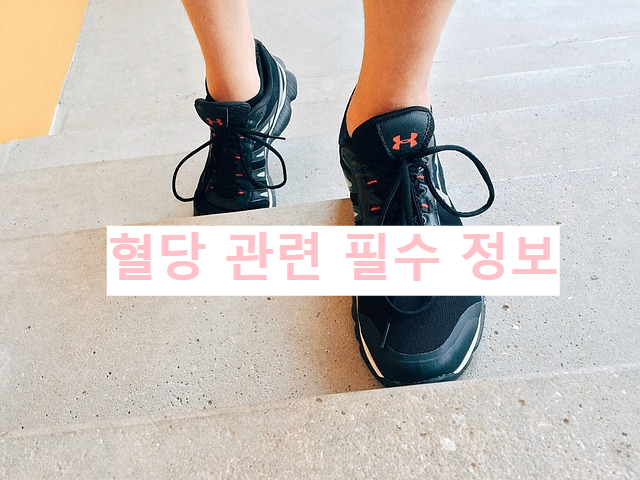 혈당 관련 필수 정보