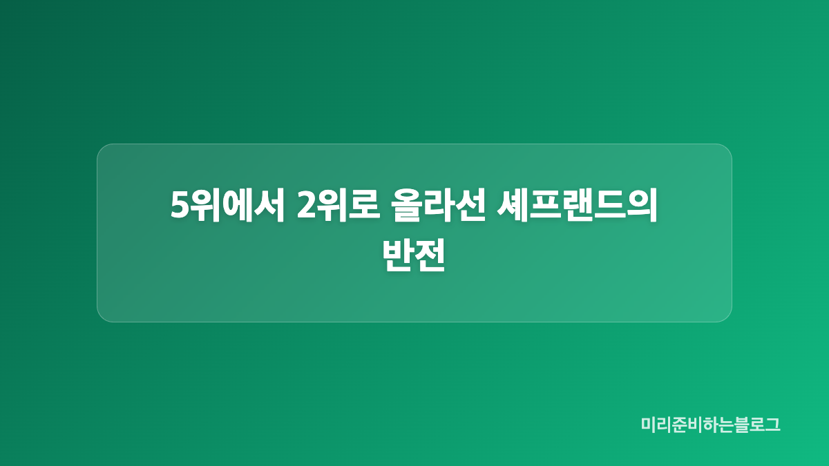 추로스 포기 뒤 솜사탕에 집중한 이유