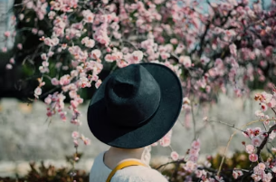 벚꽃축제 야시장 바가지요금 완벽 대처법: 푸드트럭 호갱 탈출 가이드