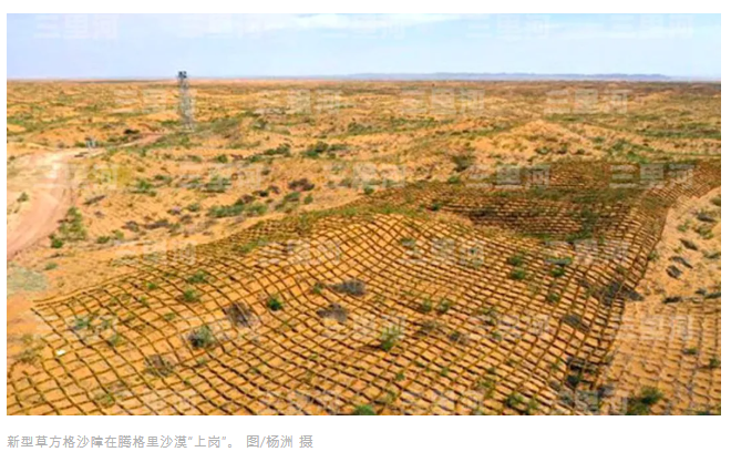 사막화방지 중국 닝샤 중국어뉴스