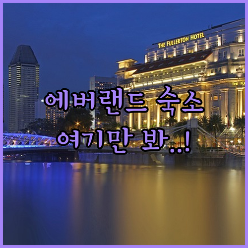 에버랜드 근처 숙소 추천 직접 비교해..