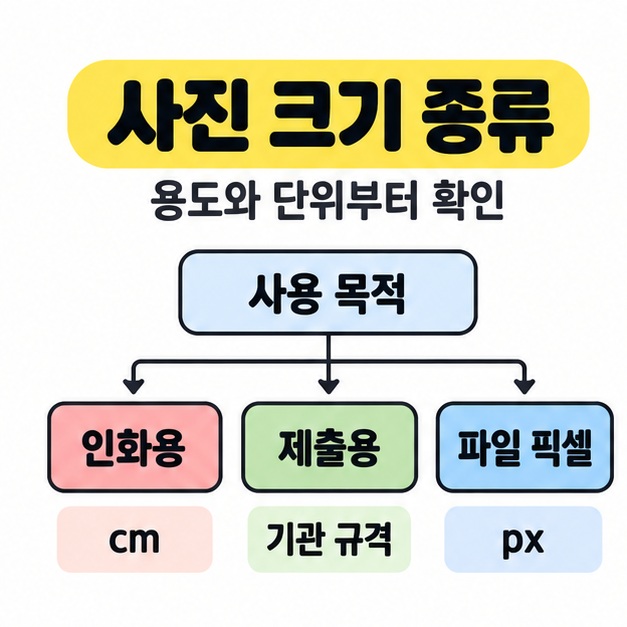 사진 크기 종류 제목 아래 사용 목적을 인화용 cm, 제출용 기관 규격, 파일 픽셀 px로 나눈 분류 도식