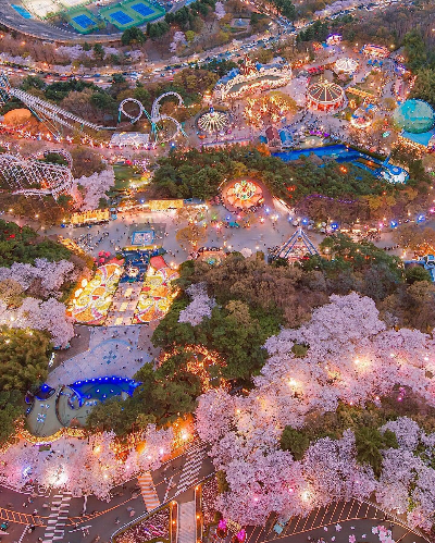봄-벚꽃 축제-일정-대구 경남