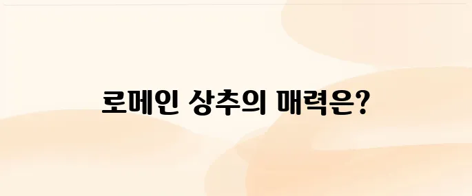 로메인 상추가 좋은 이유, 효능과 섭취 방법 정리
