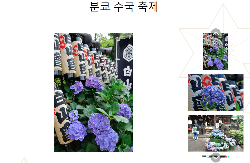 하쿠산 신사 수국 축제