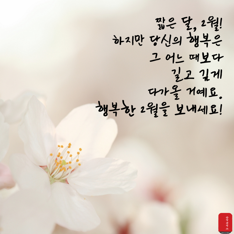 2월 인사말 문구 이미지 모음집