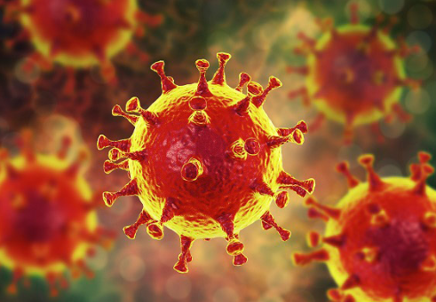 중국코로나확진자방역강화