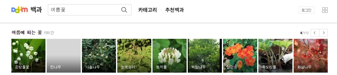 화면으로 만나는 아름다운 여름꽃들