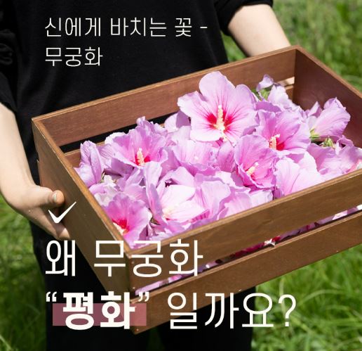 무궁화-다이어트-무궁핏