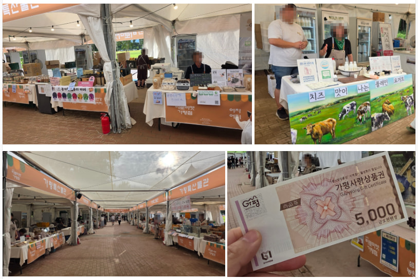 자라섬 (2025 꽃 페스타)