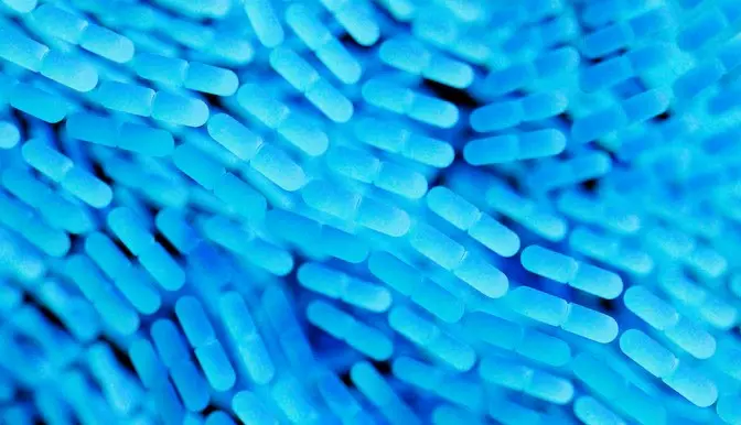 마이크로바이옴