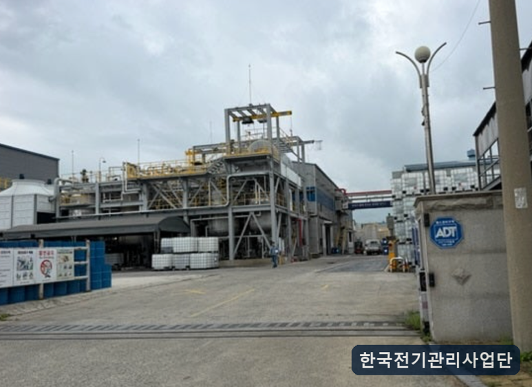 사진 7