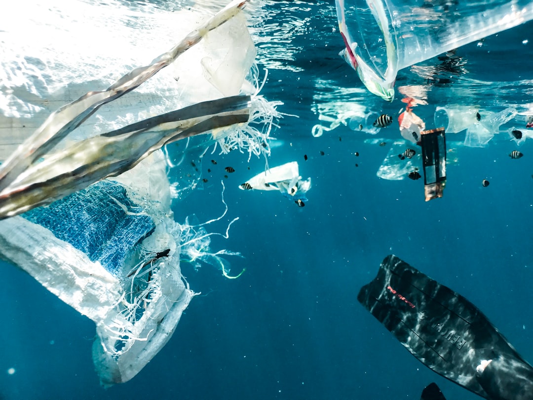 'Waste'
