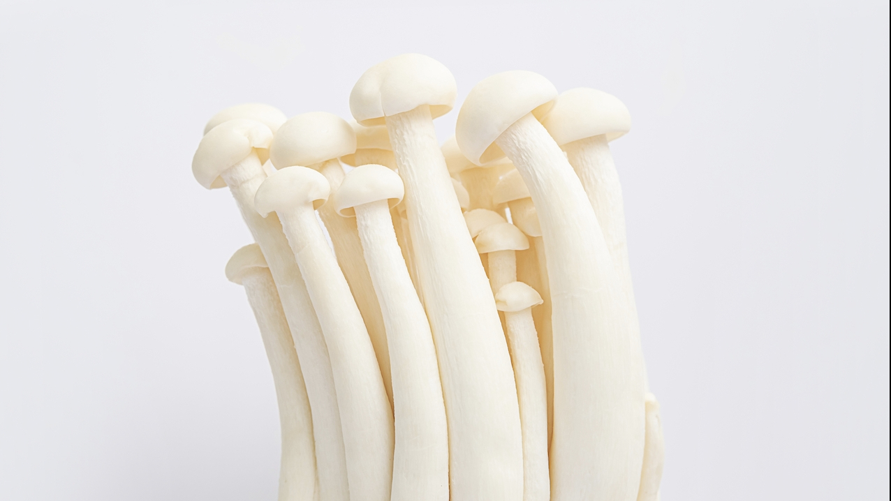 4주 팽이버섯 다이어트 식단