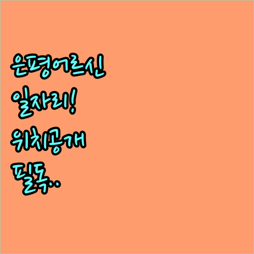 은평구 어르신 사회활동 지원 사업 내..