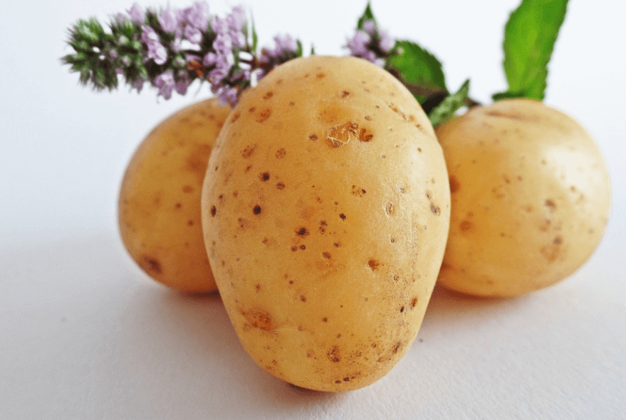 멍 빨리 빼는 법으로 감자 팩을 만들기 위한 감자가 놓여 있다