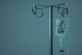 보건증 인터넷발급 출력