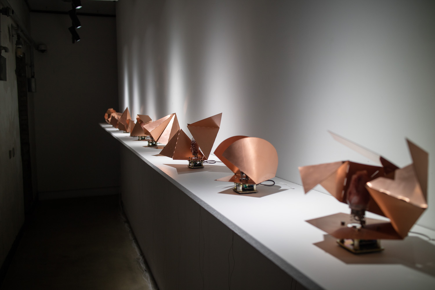 예술의 시간 전시회 산 자와 죽은 자 가운데