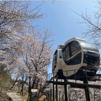 화담숲 예약 모노레일