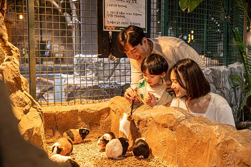 주렁주렁 동탄 라크몽