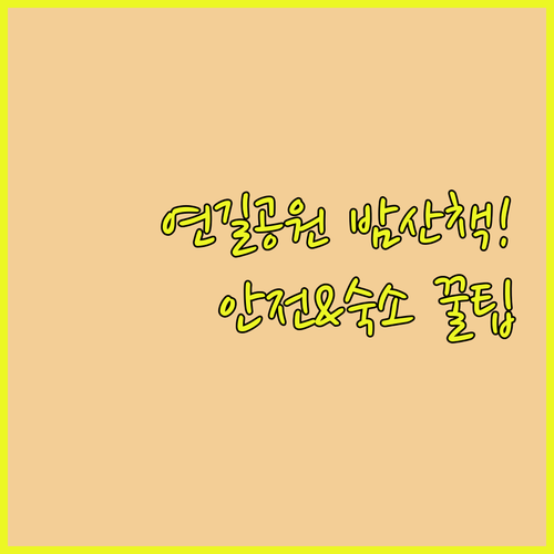 연길 인민공원 밤 산책 안전성 확인 ..